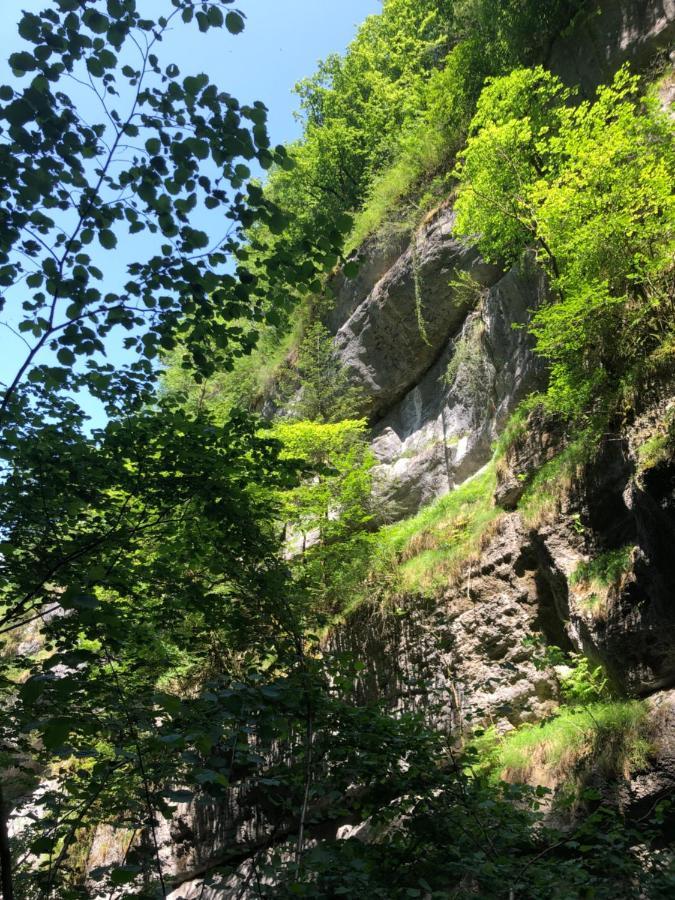 Au Pied Du Vercors Tout Est Permis La Riviere  外观 照片