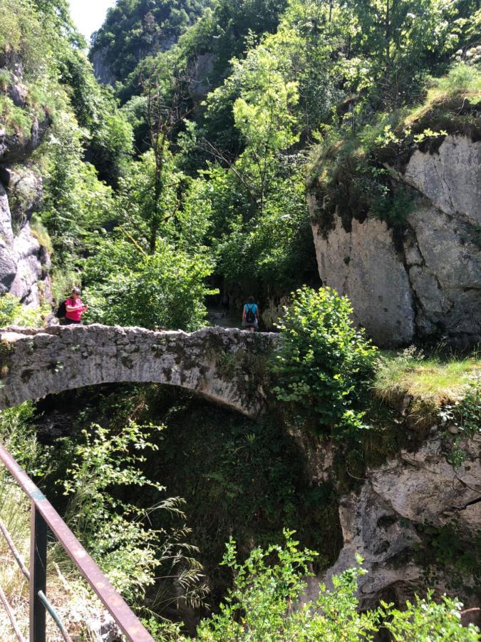 Au Pied Du Vercors Tout Est Permis La Riviere  外观 照片